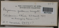 Image Associated With the Occurence